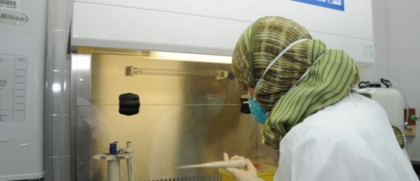 الصحة تؤكد جاهزيتها لمواجهة 