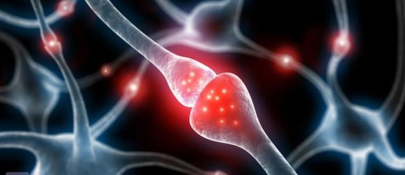 دراسة: كثرة الجلوس تقلل معدل الذكاء وتضر بالمخ