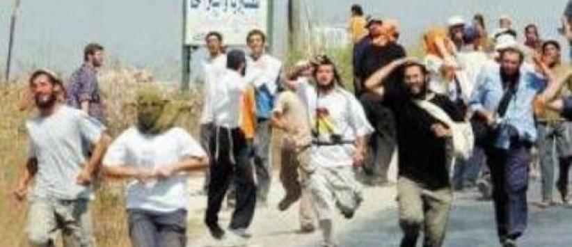 مستوطنون يهاجمون مركبة مستشار رئيس الوزراء