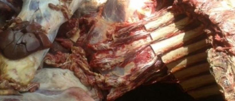 إصابة شرطي إسرائيلي في عملية دهس بالخليل