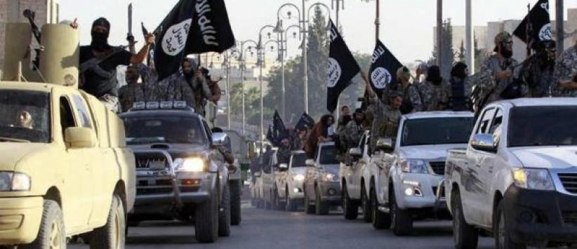 داعش يسيطر على أحياء بالحسكة ويهاجم كوباني