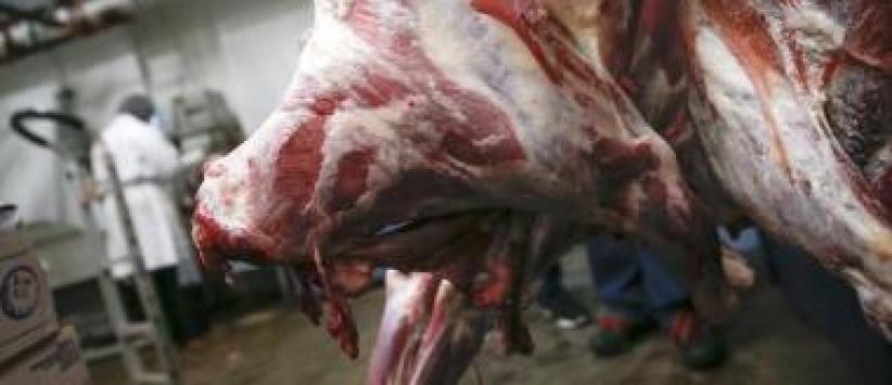 ارتفاع حاد في اسعار اللحوم قبل حلول شهر رمضان