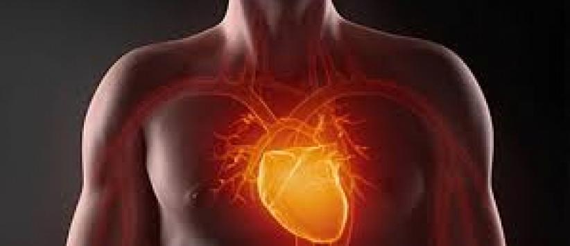 فوائد الصيام على أمراض القلب والأوعية الدموية