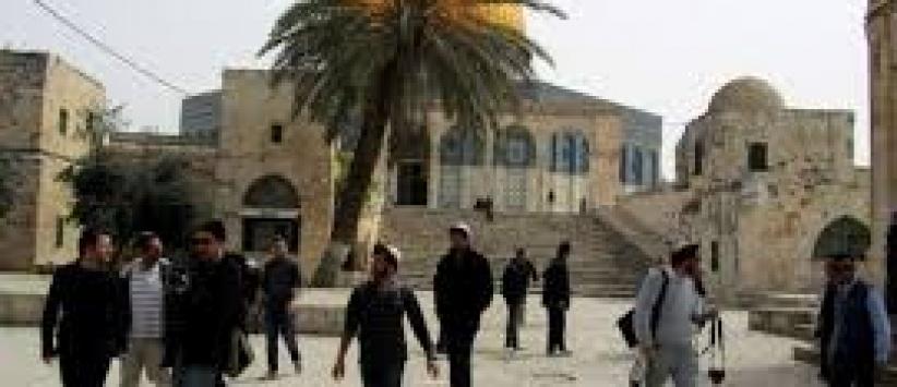 مستوطنون يقتحمون الاقصى وتحذيرات من اقتحامات واسعة بعد غد