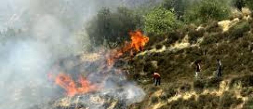 مستوطنون يحرقون محاصيل زراعية شرق برام الله