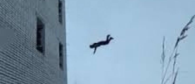 وفاة عامل في يطا سقط عن بناية قيد الانشاء