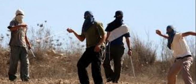 مستوطنون يهاجمون المركبات بالحجارة ويعربدون جنوب جنين