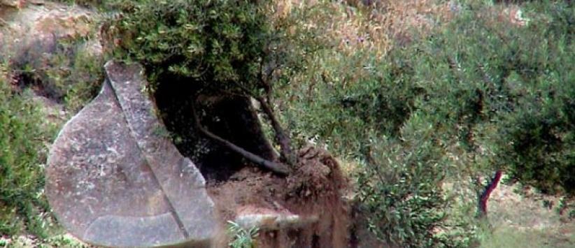 الاحتلال يجرف طريقا زراعية شرق سلفيت