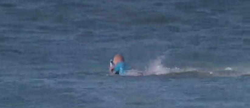 بالفيديو : سمكة قرش تهاجم 