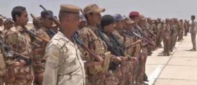 استعدادات عسكرية لاستعادة الرمادي والفلوجة