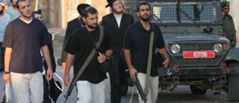 مستوطنون يستعدون لسلب مزيد من الأرضي في بيت لحم