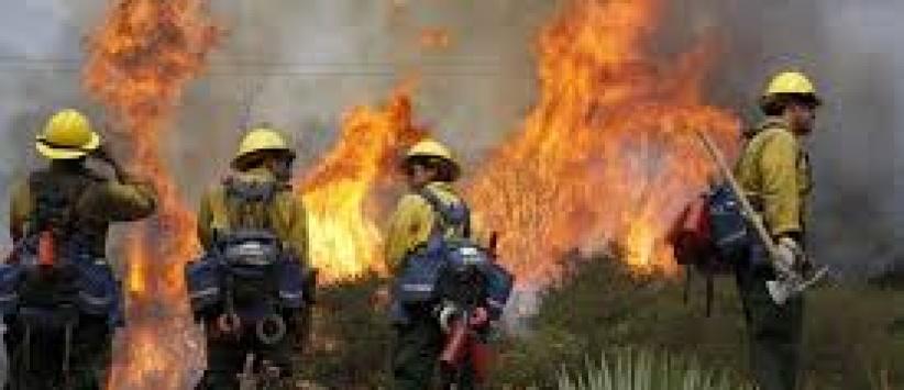 إخماد حريق في منطقة جبلية غرب الخليل