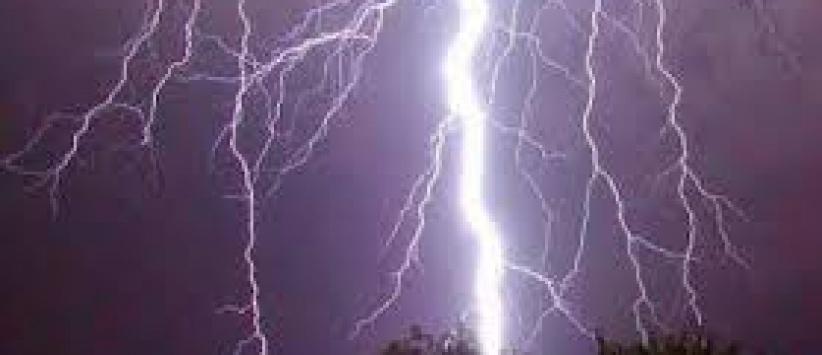 اراد التقاط 