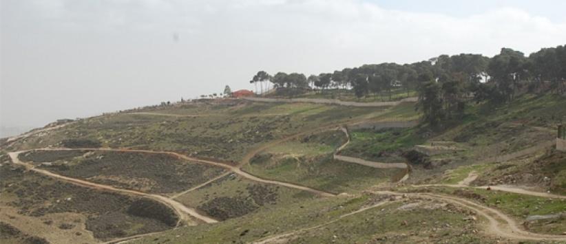 مصادرة 740 دونما من أراضي العيسوية والطور