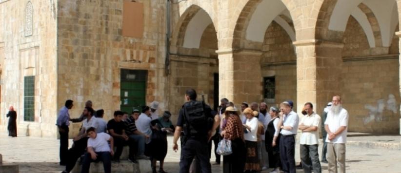 مستوطنون يقتحمون الأقصى من باب المغاربة