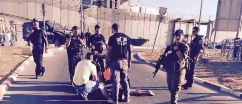 الشاباك: اعتقلنا 40 ناشطا من حماس بنابلس وصادرنا 4 مليون شيقل