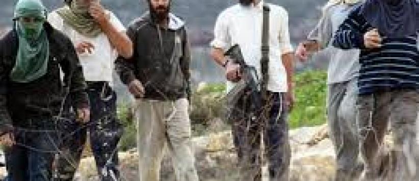 قافلة للمستوطنين تستفز الفلسطينيين جنوب نابلس