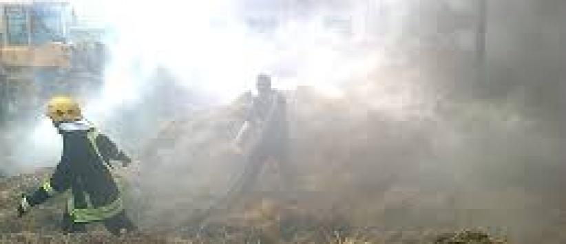 نشوب حريق بمئات اشجار الزيتون واللوزيات جنوب غرب جنين