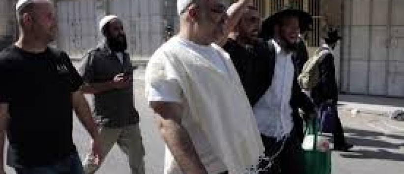 مستوطنون يحطمون مركبات لمقدسيين بالشيخ جراح