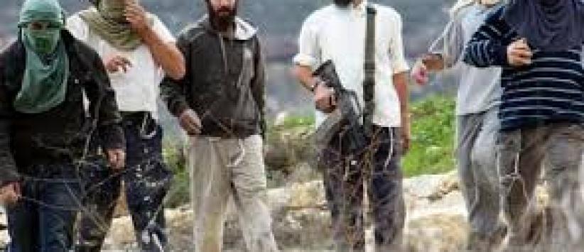 المستوطنون ينفذون اعتداءات على المداخل الواصلة بين الخليل وبلداتها