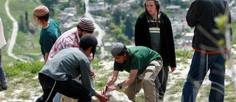المستوطنون يهاجمون قرية كفر الديك ويقومون بقطع اشجار الزيتون بمحافظة سلفيت