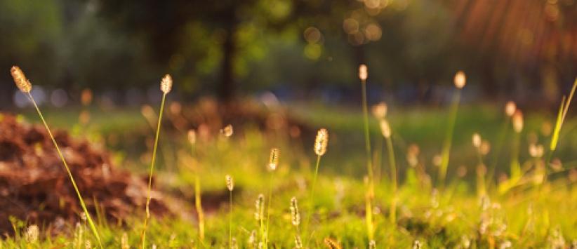 الطقس حتّى الإثنين - فرص مهيّأة لتساقط أمطار محلية