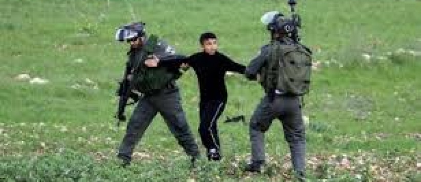 الاحتلال يعتقل طفلا ووالده أثناء قطفهما الزيتون شرق قلقيلية