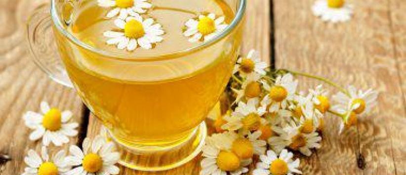 فوائد البابونج منها علاج التهابات المفاصل ومكافحة السرطان