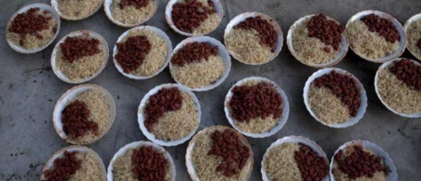 طبق واحد يكشف 