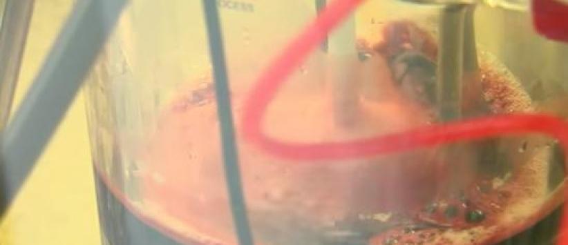 فيديو- علماء روس.. الدم البديل أصبح حقيقة