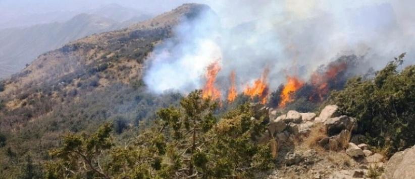 حريق ضخم يلتهم 900 دونم من جبال القدس
