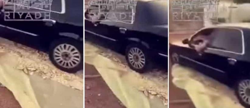 بالفيديو| شاب يدهس الخبز بسيارته يثير استياء المعلقين