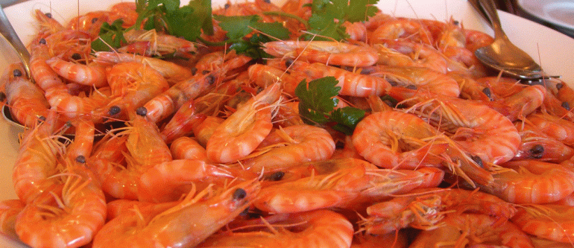 المأكولات البحرية لذيذة ومغذية.. وضارة للبعض