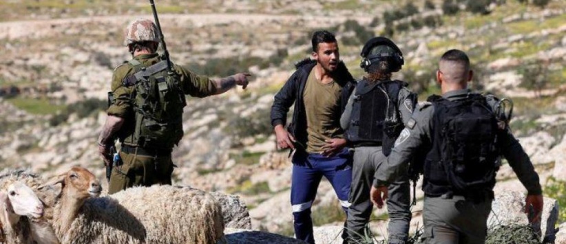 مستعمرون يهاجمون منزلا في ترمسعيا شمال رام الله