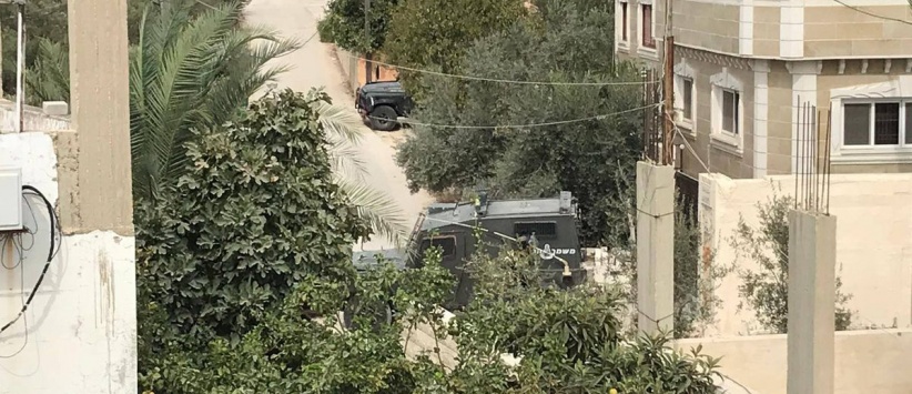 الاحتلال يداهم منتزه في ضاحية شويكة شمال طولكرم ويستولي على حيوانات برية