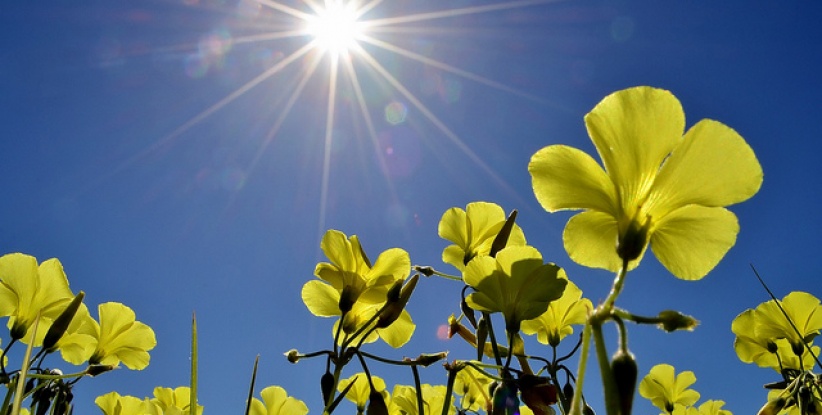 حالة الطقس لليوم الجمعة 24-5-2013