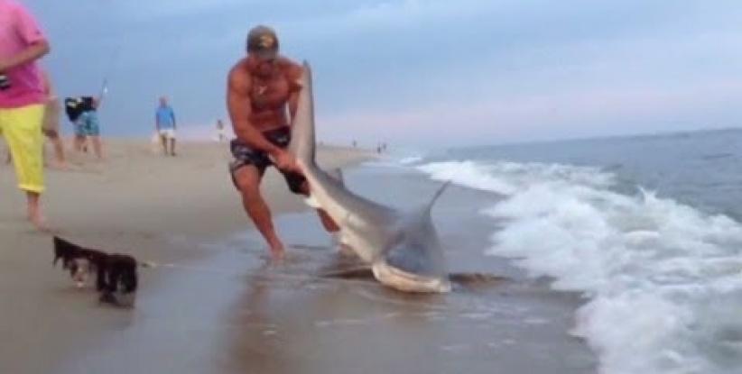 [بالفيديو].. شاب أمريكي يصطاد سمكة قرش بيديه العاريتين