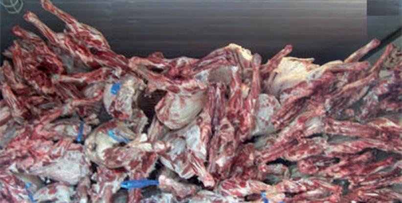 ضبط نصف طن لحم دجاج فاسد برام الله