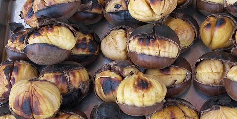 الكستناء غذاء الموسم تعرف على قيمته الغذائية