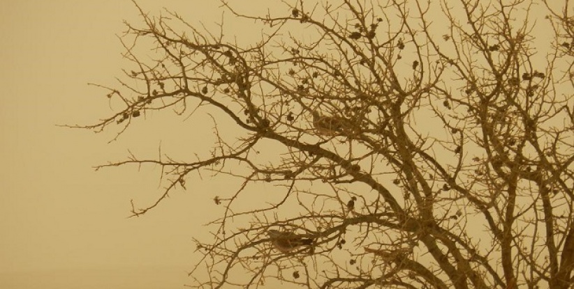 حالة الطقس لليوم السبت 22-2-2014