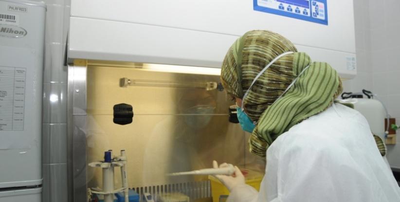 الصحة تؤكد جاهزيتها لمواجهة 