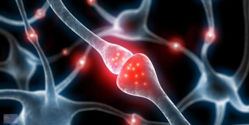 دراسة: كثرة الجلوس تقلل معدل الذكاء وتضر بالمخ