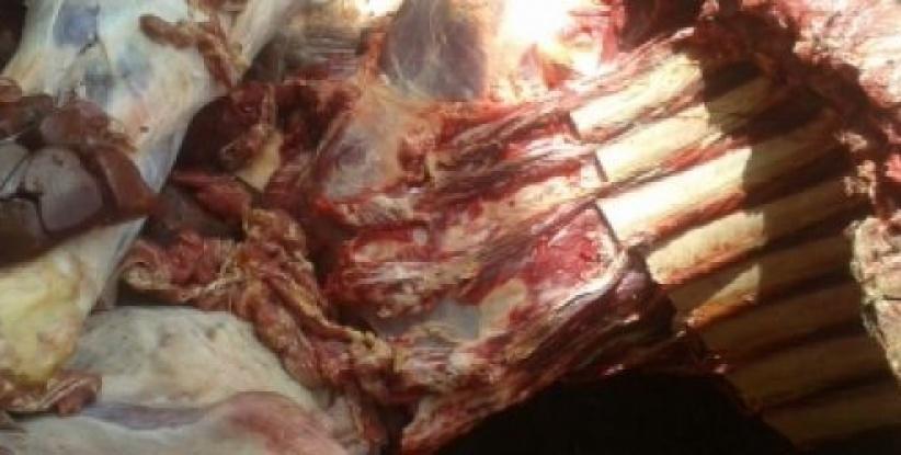 إصابة شرطي إسرائيلي في عملية دهس بالخليل