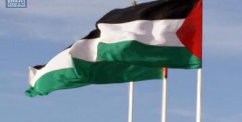 الاحتلال يداهم كفر قدوم ويعتدي على المواطنين وممتلكاتهم