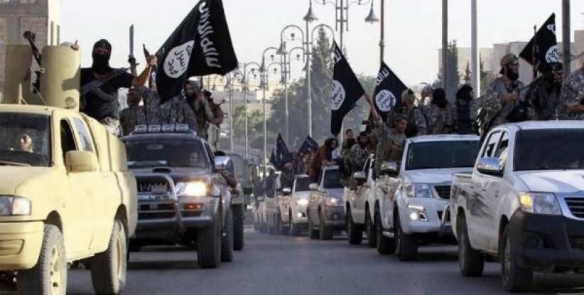 داعش يسيطر على أحياء بالحسكة ويهاجم كوباني