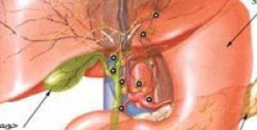 الصيام لا يمثل خطورة على مرضى زراعة الكبد