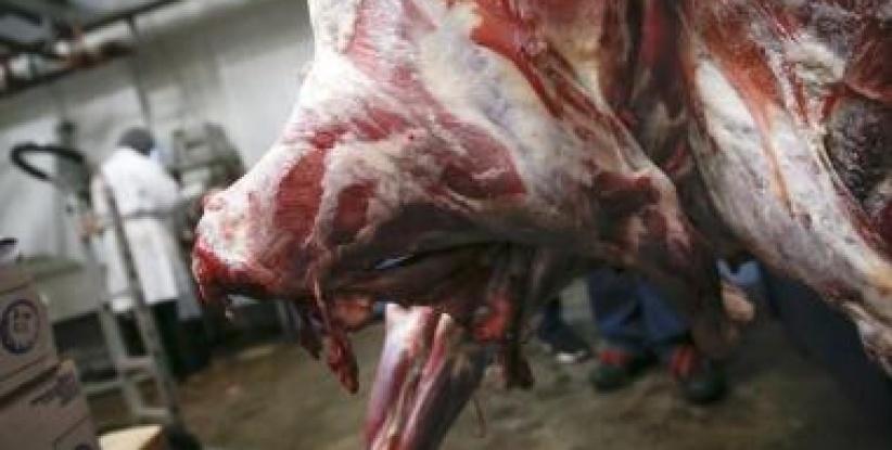 ارتفاع حاد في اسعار اللحوم قبل حلول شهر رمضان