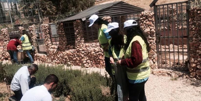 بالصور| نشاط تطوعي لشبيبة الطالبة المسيحية والمجلس الشبابي في بيت ساحور