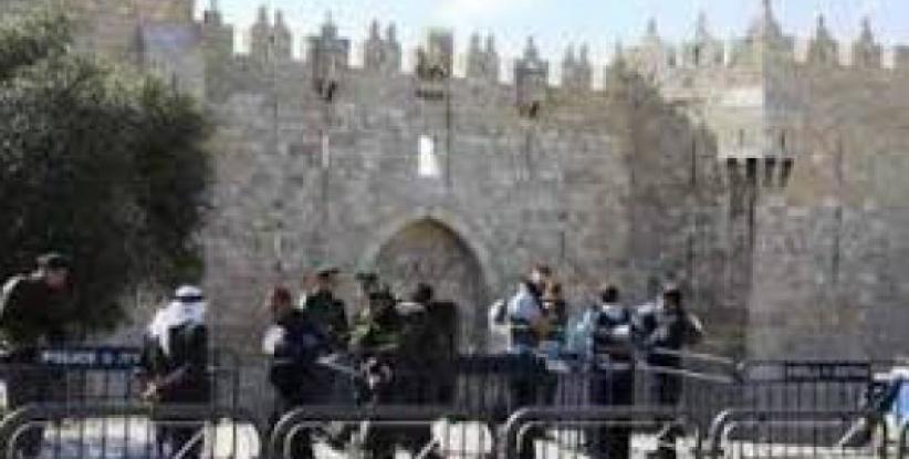 مستوطنون يقتحمون الأقصى وإبعاد 6 نساء لأسبوعين