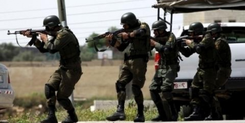 القبض على عصابة مسلحة مختصة بعمليات سطو في الضفة